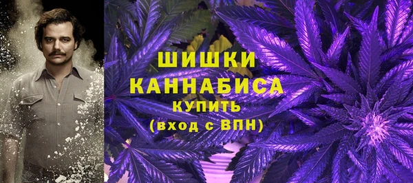 амф Бежецк