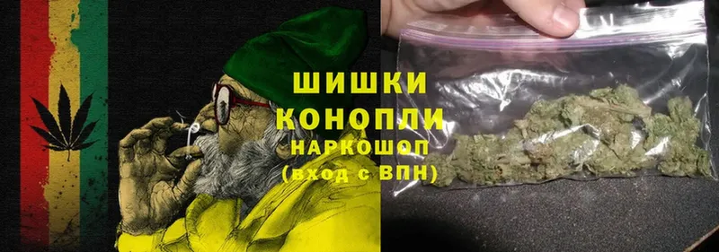 где найти   Карабаново  Конопля OG Kush 